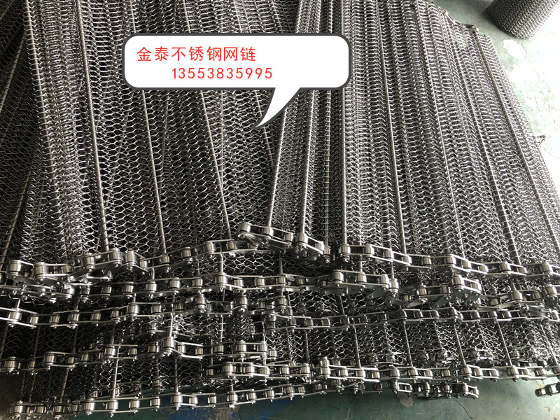 5.鏈條式網(wǎng)帶_副本