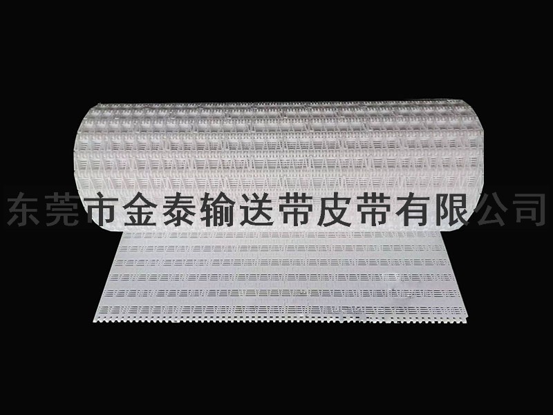 塑膠輸送網(wǎng)帶