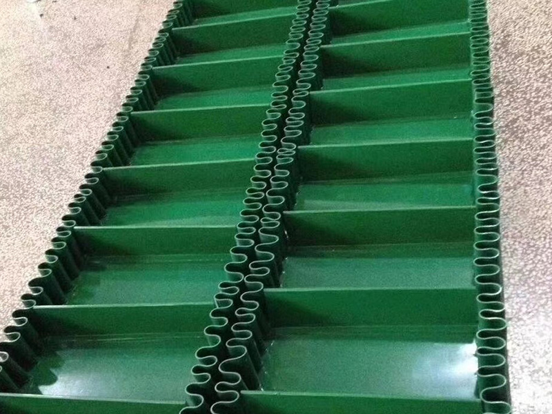 食品行業(yè)皮帶輸送機(jī)